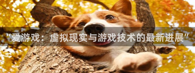 天美娱乐是什么：“爱游戏：虚拟现实与游戏技术的最新进展”
