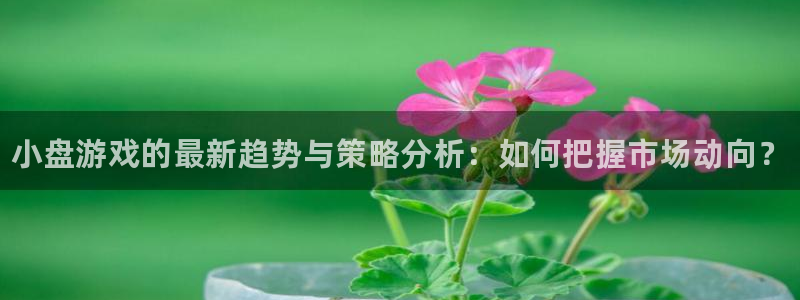 天美娱乐官方注册登录：小盘游戏的最新趋势与策略分析：如何把握
