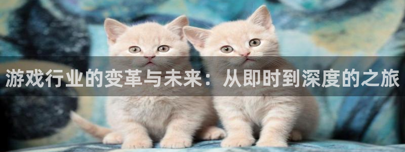 天美娱乐平台登录线路：游戏行业的变革与未来：从即时到深度的之