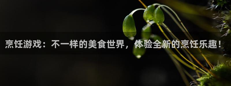 天美娱乐官网：烹饪游戏：不一样的美食世界，体验全新的烹饪乐趣