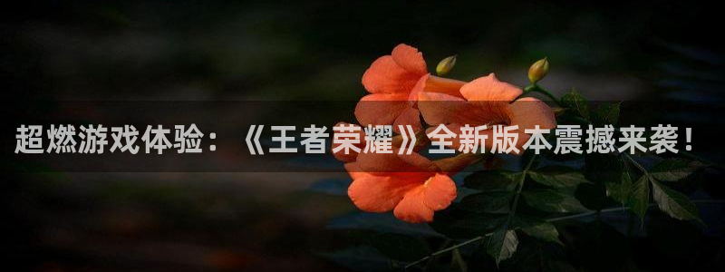 天美娱乐登陆地址：超燃游戏体验：《王者荣耀》全新版本震撼来袭